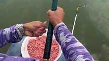 如果小鱼闹得欢，要想钓到鲢鳙，那就搓大团饵猛攻吧(四)