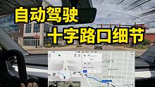 特斯拉FSD10.69新版本，过十字路口更加细节！