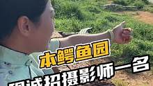 本鳄鱼园，现诚招摄影师一个，兼职喂鳄鱼！#鳄珍 