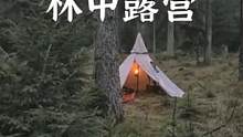 住到森林中，睡在苔藓上#露营报告 #户外 #野营 #bushcraft 