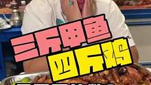 三斤甲鱼四斤鸡！两位数！！！#山东人暑期的快乐都在这里 #苏木生 #夏日美食季 #跟着抖音去探店