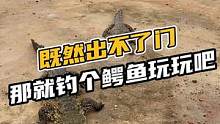 既然出不了门，那就钓个鳄鱼玩玩吧#鳄珍  