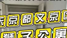 东京文京区（文教区域）狮子公寓猜猜多少钱？文华带您看日本130 #好房推荐 #文华带您看日本 #文华