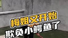 梅姐又开始欺负小鳄鱼了#鳄珍
