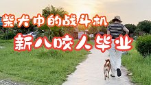 柴犬中的战斗柴毕业了
