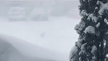 这是你吗？