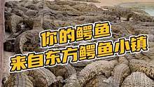 你的豆豆鞋都来自东方鳄鱼小镇#鳄珍 