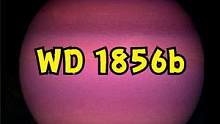 末日余生？80光年外，一颗死星或可预示太阳系未来。 #夏日科普星探企划 