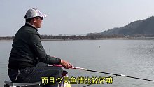 冬季连日艳阳天，鱼儿欢喜上浅滩，诱钓结合加节奏，草鱼鲫鱼打连杆(二十二)
