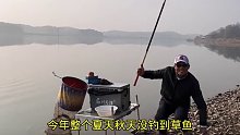 冬季连日艳阳天，鱼儿欢喜上浅滩，诱钓结合加节奏，草鱼鲫鱼打连杆(四)