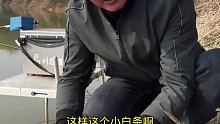 今天这种鱼情，钓友们能给我一个好建议吗(二)