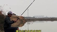 今天这种鱼情，钓友们能给我一个好建议吗(九)