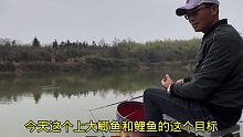今天这种鱼情，钓友们能给我一个好建议吗(七)