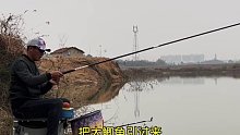 今天这种鱼情，钓友们能给我一个好建议吗(十)