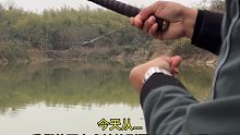 今天这种鱼情，钓友们能给我一个好建议吗(十二)