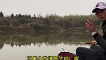 今天这种鱼情，钓友们能给我一个好建议吗(十五)