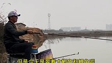 今天这种鱼情，钓友们能给我一个好建议吗(十一)
