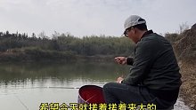 今天这种鱼情，钓友们能给我一个好建议吗(五)