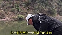 同一个小山塘，天气不同钓位不同，那么鱼口还会是上次的规律吗(十四)