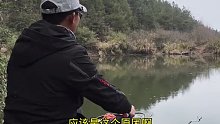 同一个小山塘，天气不同钓位不同，那么鱼口还会是上次的规律吗(十一)
