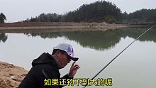这个小水库小鲫鱼不少哇，但大鲫鱼难钓，我该怎么办呢(二十二)
