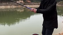 这个小水库小鲫鱼不少哇，但大鲫鱼难钓，我该怎么办呢(十七)