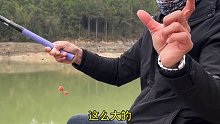 这个小水库小鲫鱼不少哇，但大鲫鱼难钓，我该怎么办呢(十四)