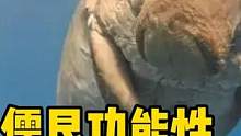 儒艮功能性灭绝？你们在海边见过吗？ #海洋生物 #儒艮 #夏日科普星探企划