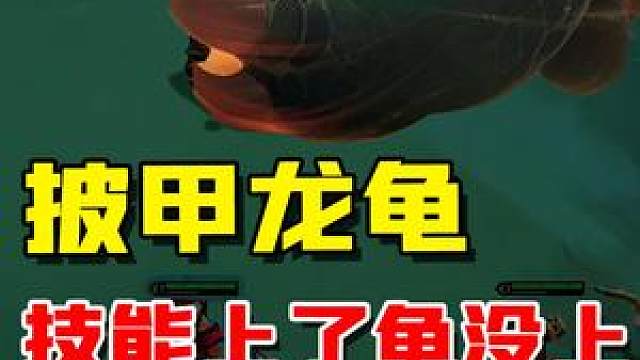 假人做成我的样子也行"——披甲龙龟·一次没上·拉莫斯#云顶之弈