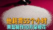 艺术家山本基花了55个小时用盐制作10万朵樱花花瓣#艺术 #行为艺术 #艺术在抖音  