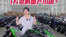 #国产机车 #总有一款适合你的车 #摩托车机车 一万多的国产川崎，是你的车吗？