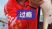 今天钓的鱼种齐全 #在快手看海钓 #出海钓鱼 #钓鱼红人节