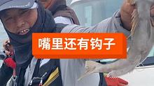 钓上来以后发现嘴里还有个钩子 #在快手看海钓 #船钓 #生活