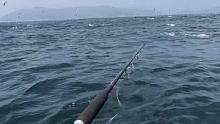 #路亚海钓 #船钓 #深海钓鱼