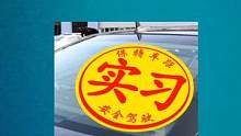 #实习期 #考驾照 #驾考驾考 #逢考必过 