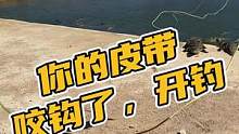 你的皮带咬勾了，开钓#鳄珍 