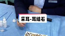 赵老师的课程，细节太多，讲不完#耳结石 #采耳 #采耳培训