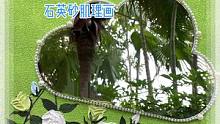 把夏天装进镜子里。#丙烯画 #石英砂肌理画 #沉浸式画画 #一起学画画