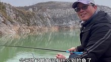 一座高山，被挖成了一个大凹洞，除了石头还是石头，水质清瘦冰凉，钓得到鱼吗(十六)