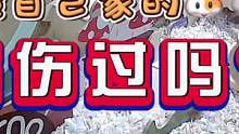 #仓鼠 #萌宠出道计划 #养鼠日常分享 #抖in萌宠计划 #经验分享 被仓鼠咬了怎么办？说真的，鼠圈