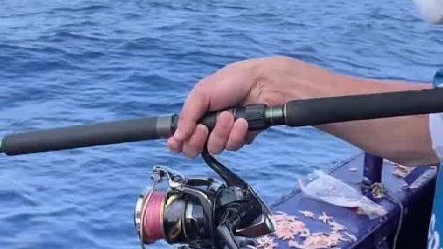 南海海钓遇到鱼群,金枪鱼狂拉不停,钓友们也纷纷中鱼,这样钓鱼太过瘾