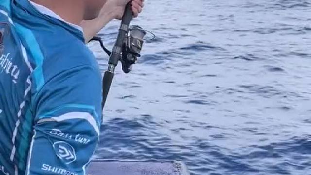 南海海钓遇到鱼群,金枪鱼狂拉不停,钓友们也纷纷中鱼,这样钓鱼太过瘾