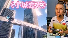 《小城夏天》复音口琴A调