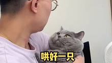 提问：如何同时哄好两只小猫咪？#我和我的猫