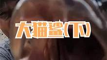 来叔抽坑连抓值钱好货，一条活跳凶猛的大鲨鱼，满嘴尖牙还挺吓人（下）