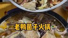 秋天的第一顿老鸭菌子火锅#农村生活