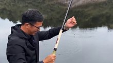 (四)钓鲫鱼没想到还有意外的惊喜