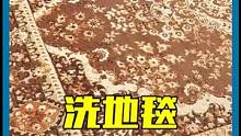 小小的地毯，大大的能量！#洗地毯 