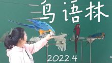 鸟语林 鹦鹉以及露营 2022.4【出行篇4】