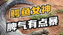 鳄鱼女神脾气有点暴躁#鳄珍 